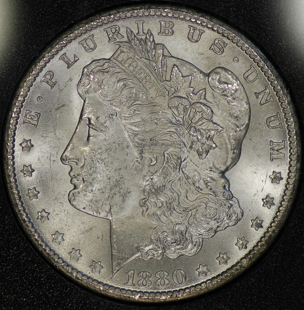 80ccgsavam8obv.jpg