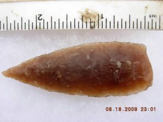 DSCN2005.jpg