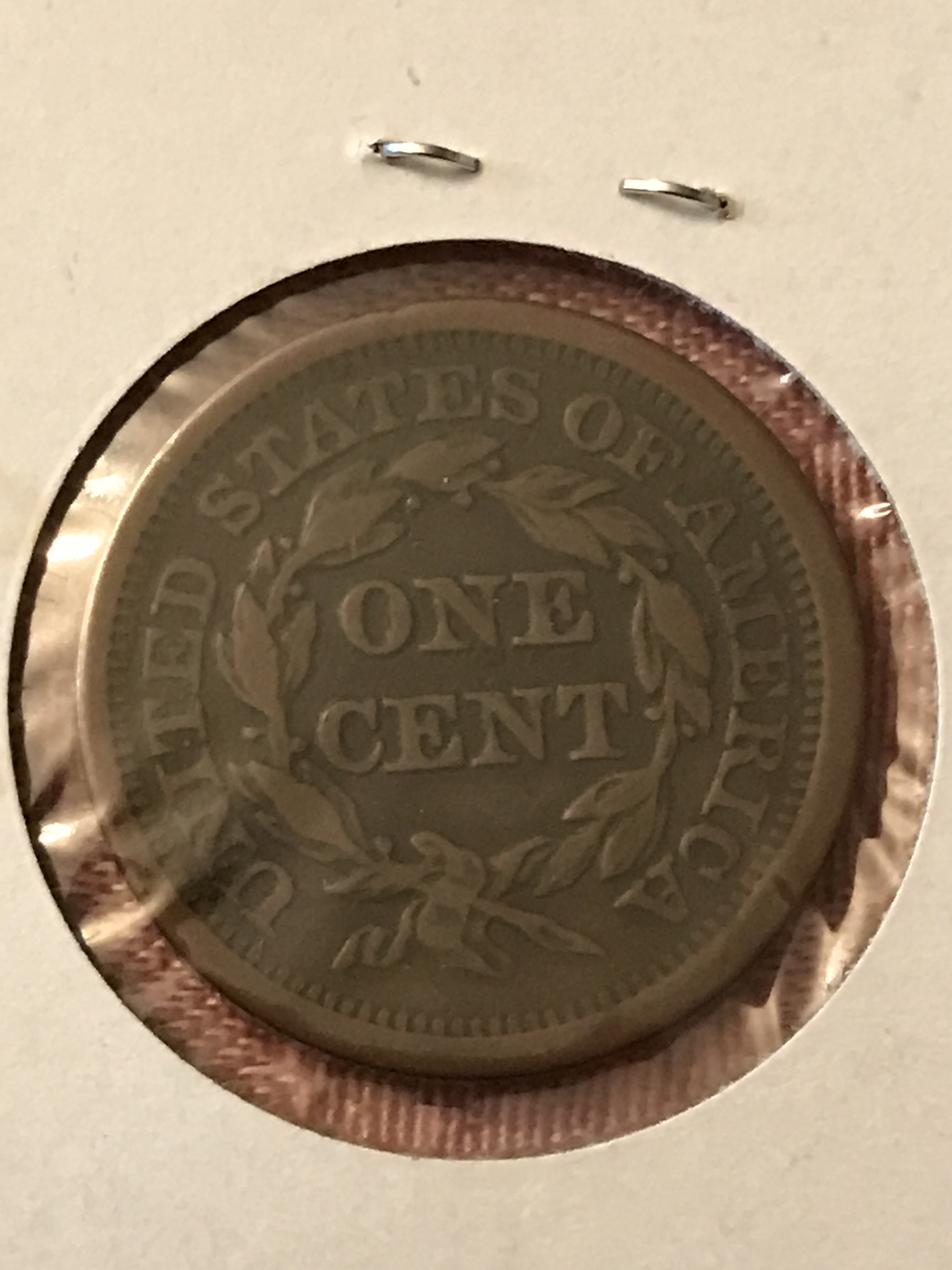 cDBSx85.jpg
