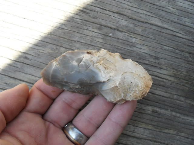 SDC17450.jpg