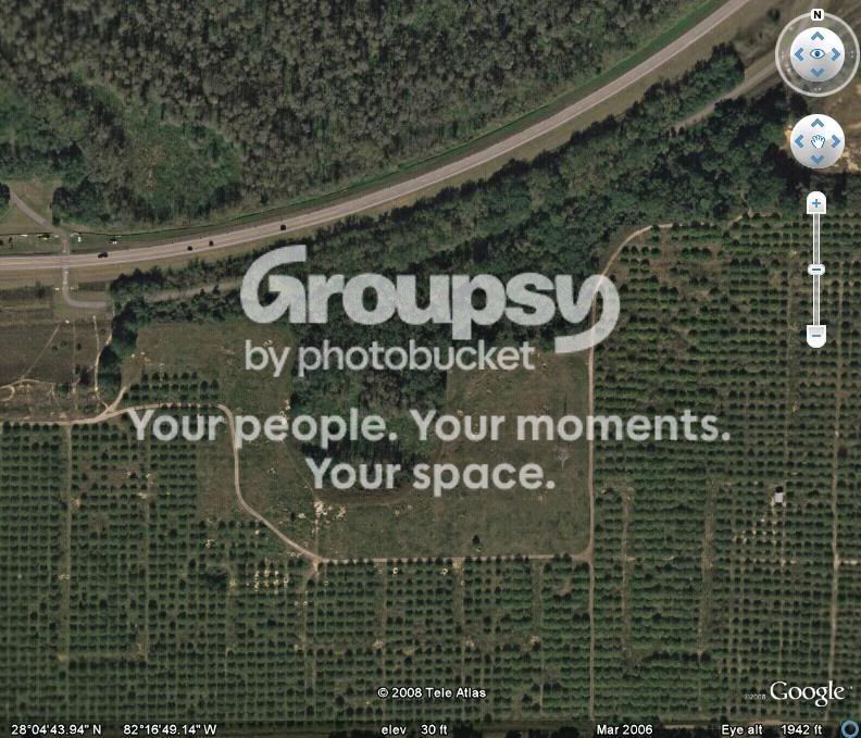 grove-1.jpg