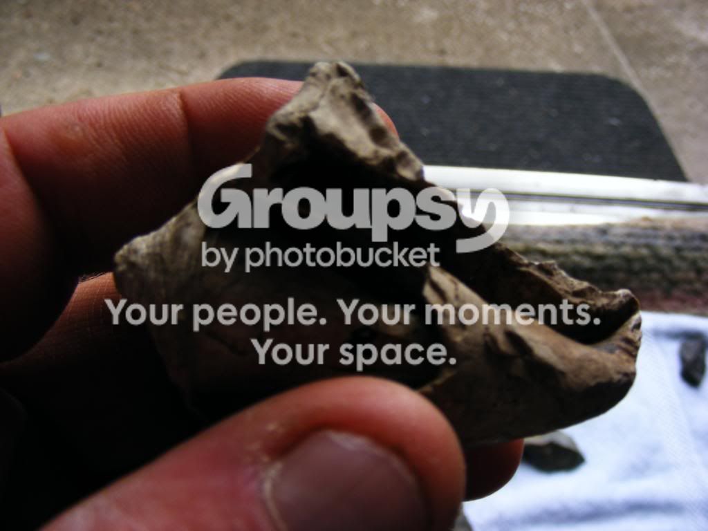 2009_0903box30052.jpg
