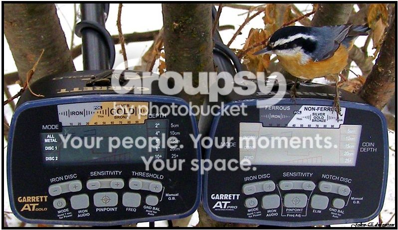 birdb_zpsc3fa1b3a.jpg