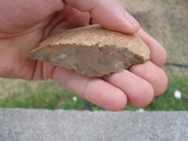 SDC10115.jpg