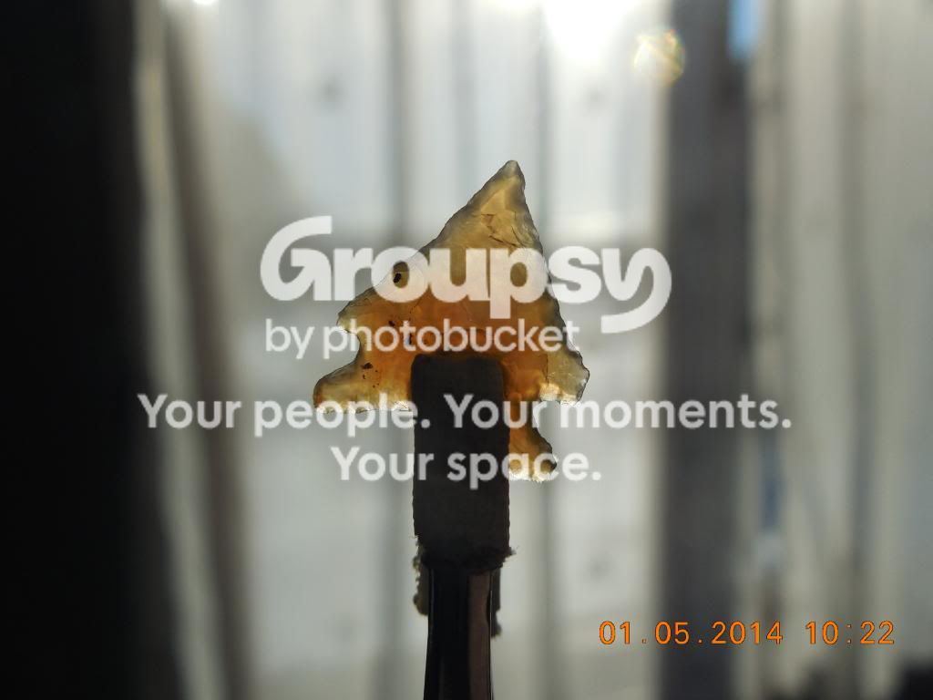 DSCN3679.jpg