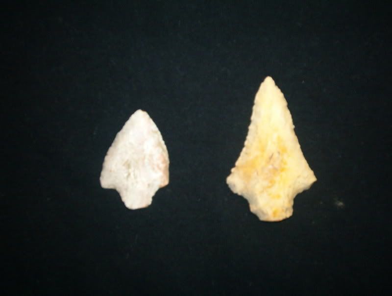 march0407050.jpg
