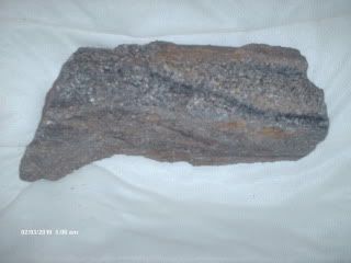 HPIM4482.jpg