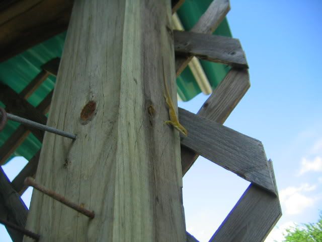 IMG_4245.jpg