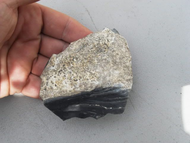 SDC11361.jpg