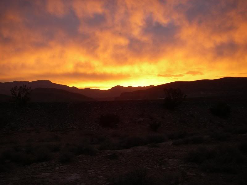 VegasNovSummerGold07013.jpg