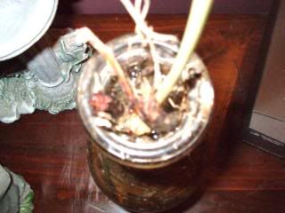 bottle014.jpg
