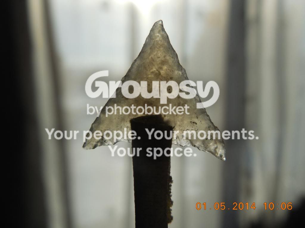 DSCN3661.jpg