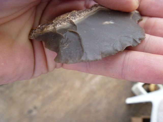 P1010046.jpg