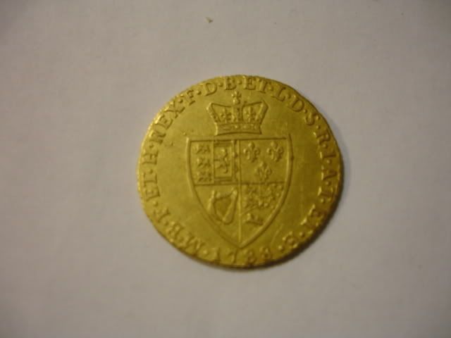 guinea001.jpg