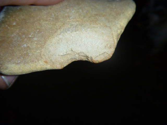 P1010645.jpg