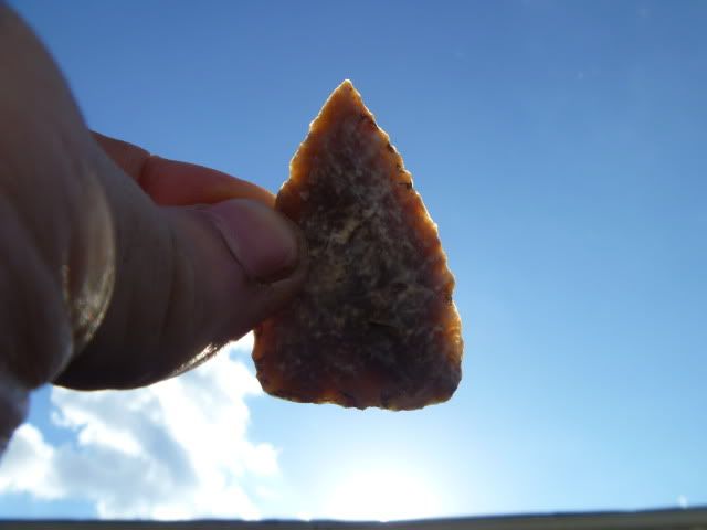 P1010904.jpg