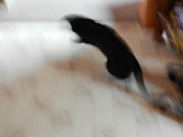DSCN0243.jpg