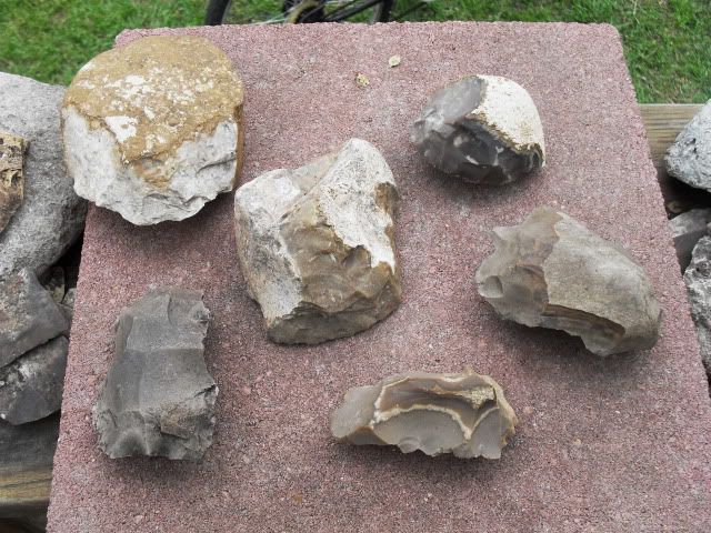 SDC11255.jpg