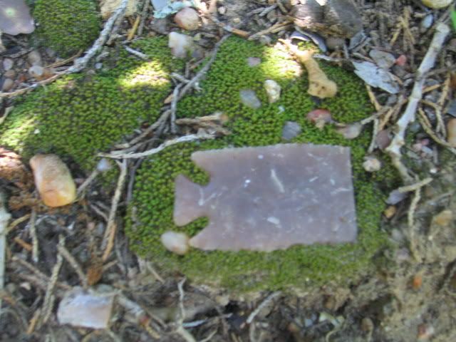 IMG_5703.jpg