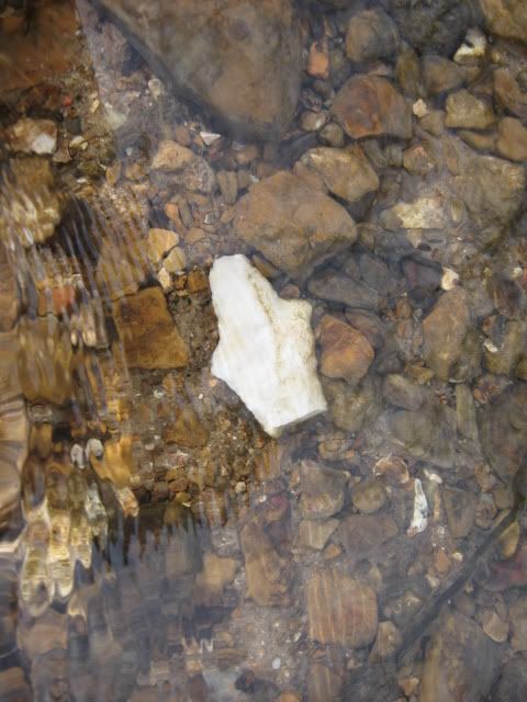 arrowhead02-20-2009001.jpg