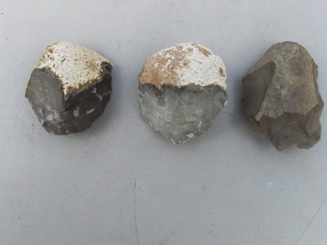 SDC11378.jpg