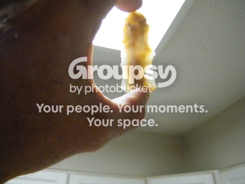 greg-rocksartifactcollection427.jpg