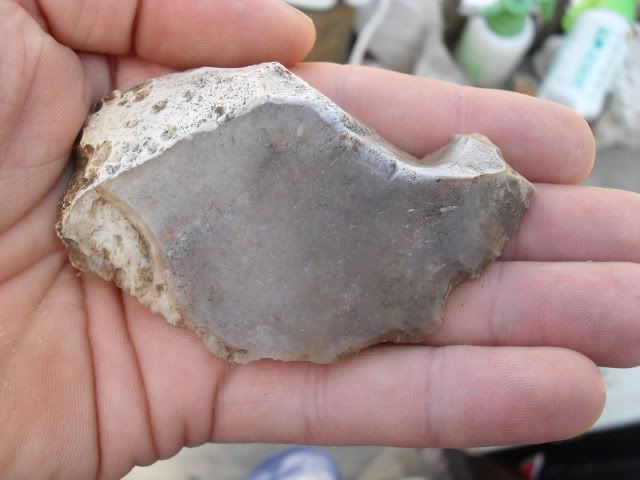 SDC10438.jpg