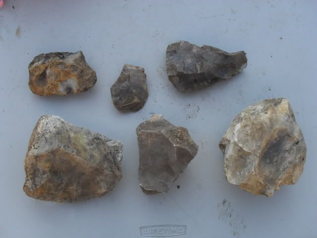 SDC10488-1.jpg