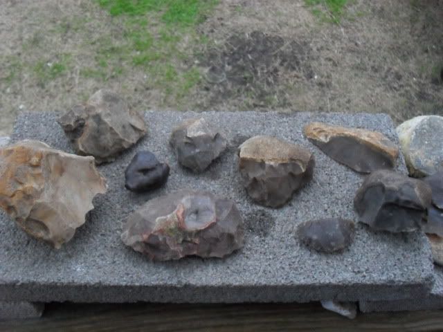 SDC10362.jpg
