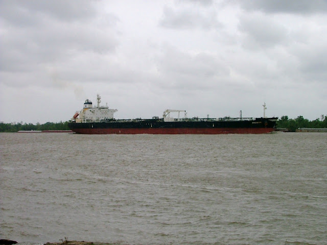 DSCF1801.JPG
