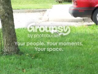 100_1144.jpg