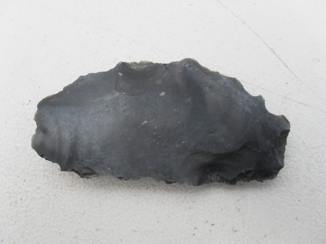 SDC11352.jpg
