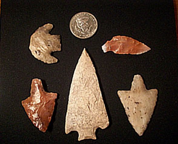 100_1653-1.jpg