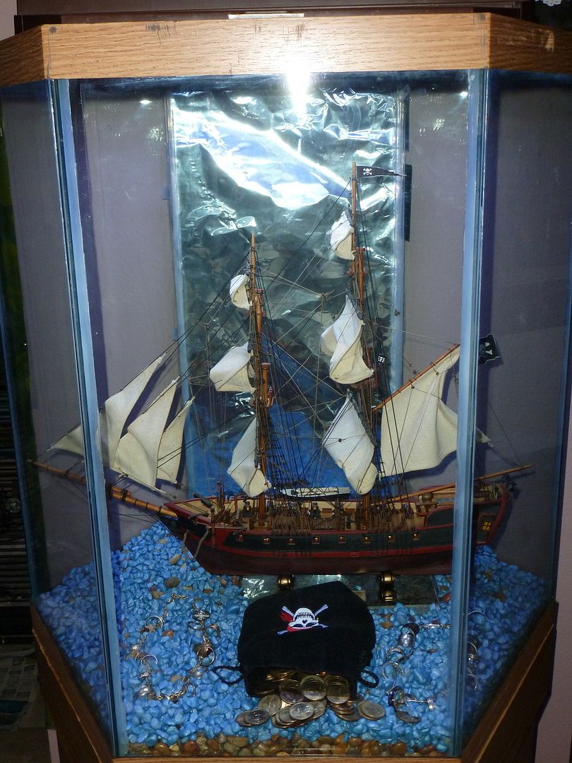 P1000365.jpg