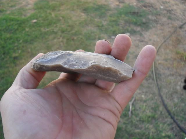 SDC10679.jpg