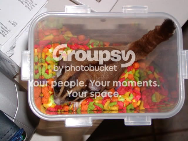 0222-1.jpg
