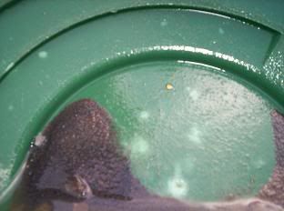 100_0963.jpg