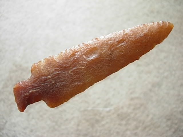DSCN3319.jpg