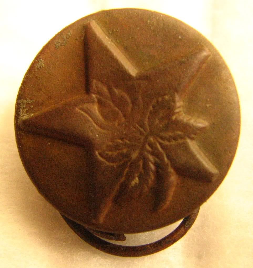rosefront.jpg