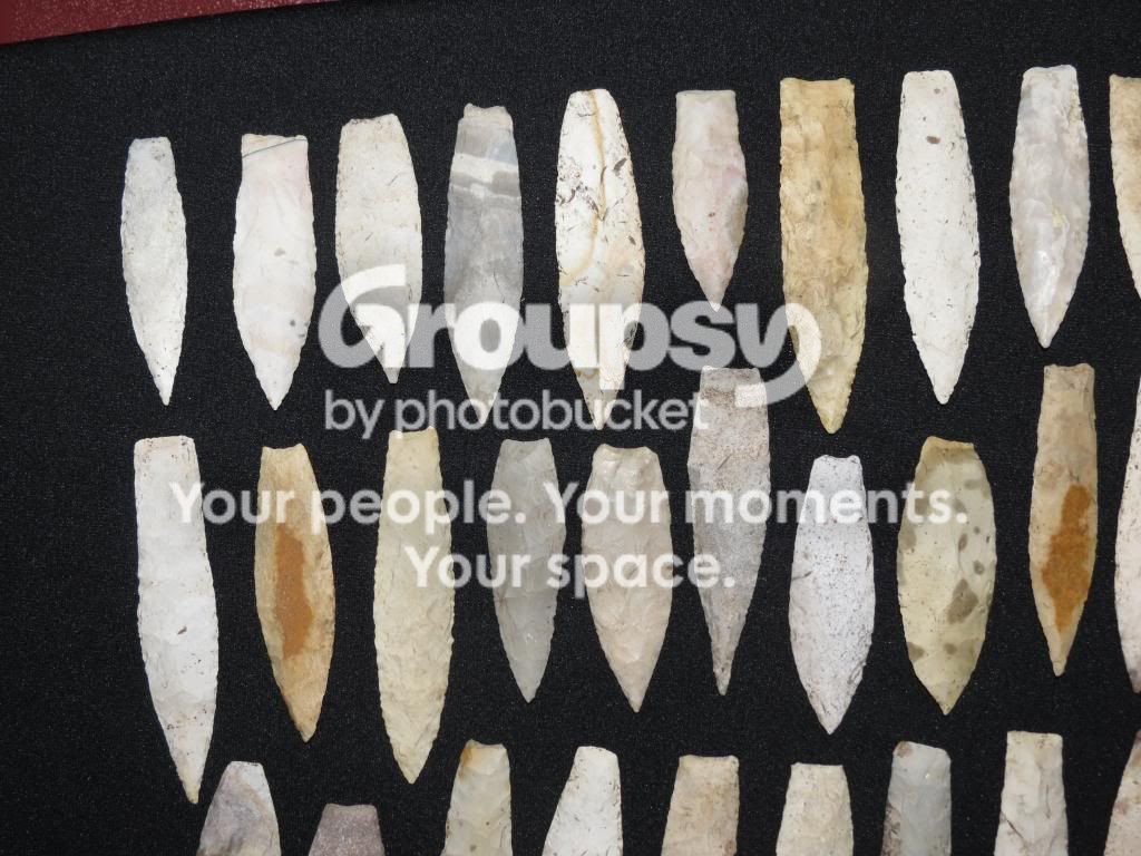 IMG_3340_zps35270031.jpg