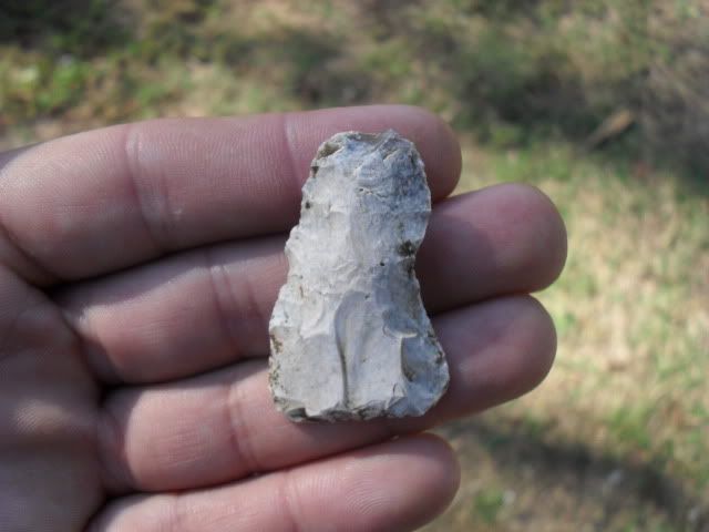 SDC10959.jpg
