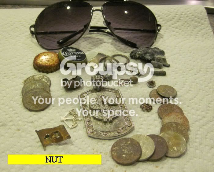 TODNUT.jpg