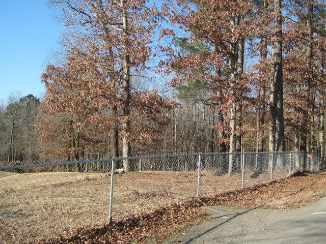 2-5-4.jpg