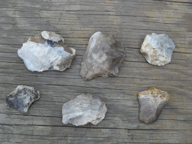 SDC10073.jpg