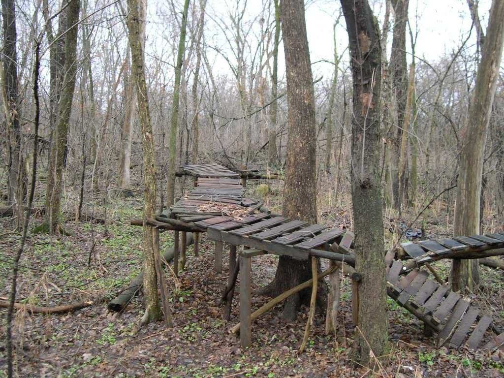 CCFP_walkway1.jpg