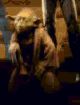 774113129_c24eee9db1_o.gif