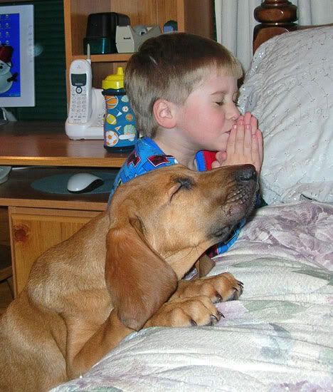 dogpraying.jpg