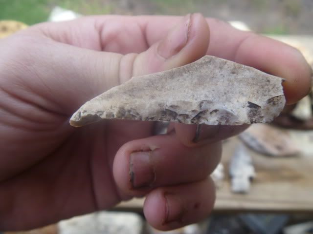 P1050278.jpg