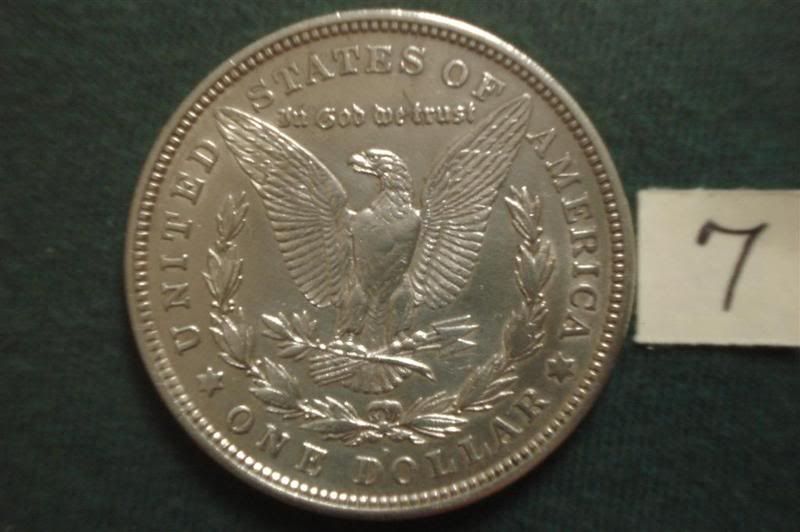 SilverDollars07RLarge.jpg
