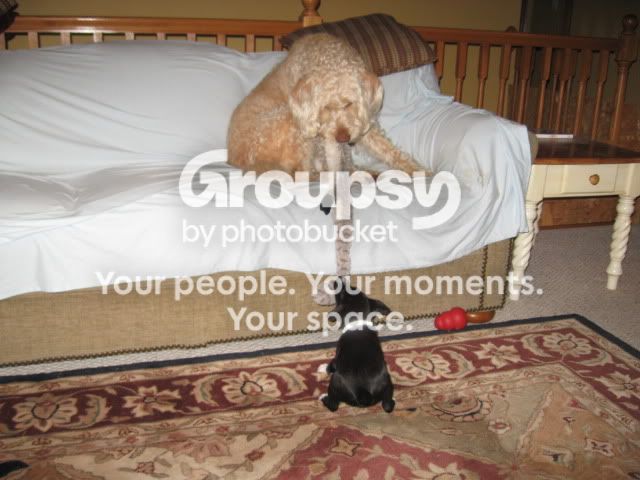 IMG_8680.jpg